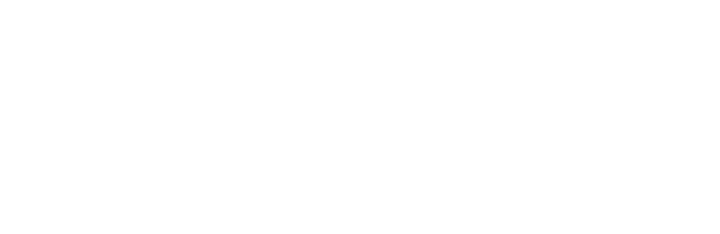 Strietzel KFZ-Technik GmbH Lehrte-Immensen - KFZ Reparaturen aller Fabrikate